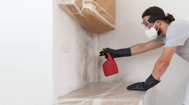 Professional Attic Mold Remediation technician working in Howell, NJ