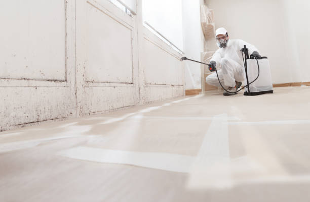 24/7 Emergency Attic Mold Remediation experts in Howell, NJ