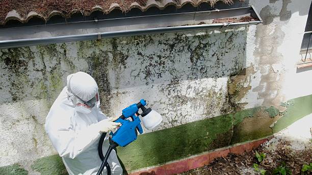 Top rated local Attic Mold Remediation specialists in Howell, NJ